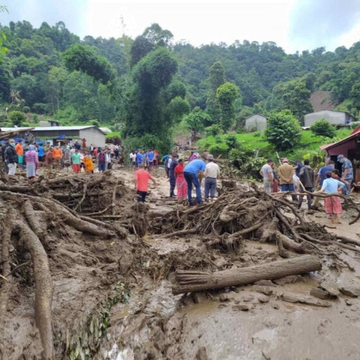Villagers and rescue workers gathered near a muddy landslide area filled with uprooted trees